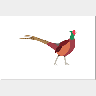 Pheasant Posters and Art